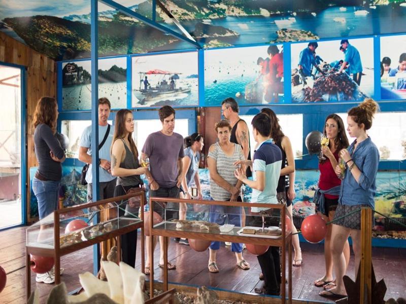 ホテル Charm Boutique Cruise ハロン エクステリア 写真